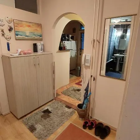 Anika Apartman *
